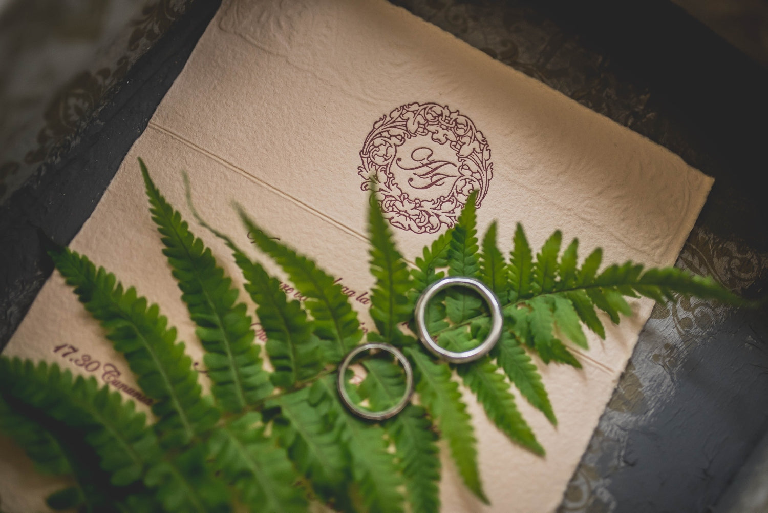 invitations and rings for eco wedding